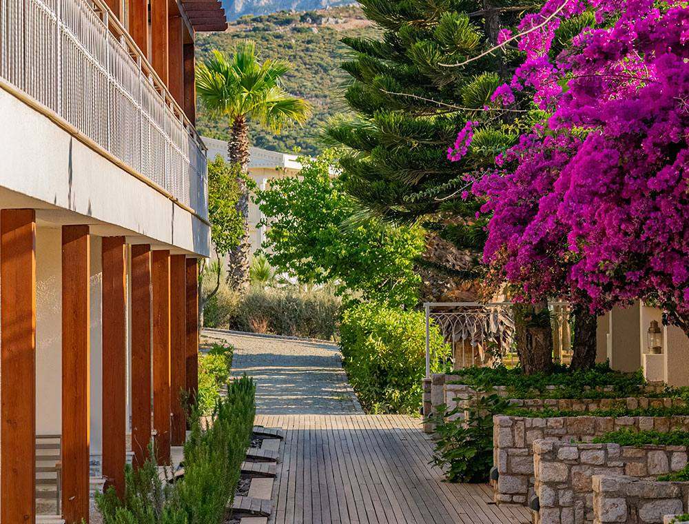 J2J family