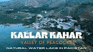 3-Day Retreat for Families - Kallar Kahar